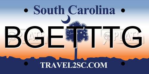 BGETTTG South Carolina License Plate