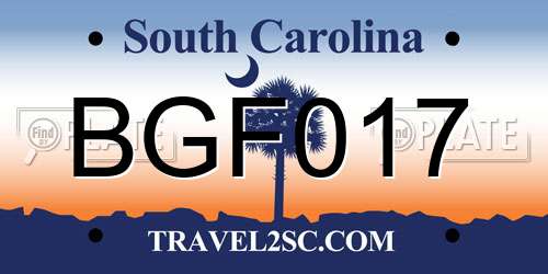BGF017 South Carolina License Plate