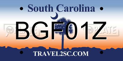 BGF01Z South Carolina License Plate