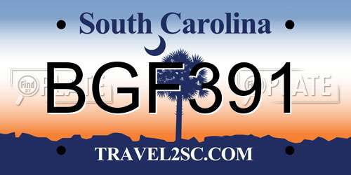 BGF391 South Carolina License Plate