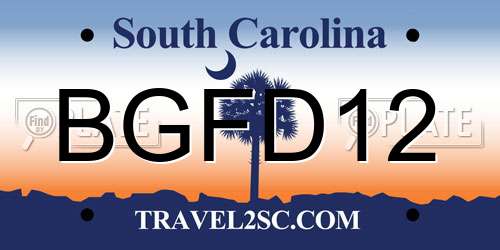 BGFD12 South Carolina License Plate