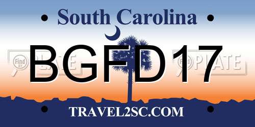 BGFD17 South Carolina License Plate