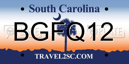 BGFQ12 South Carolina License Plate