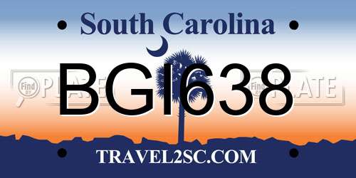 BGI638 South Carolina License Plate
