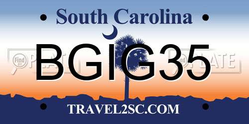 BGIG35 South Carolina License Plate