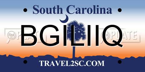 BGILIIQ South Carolina License Plate