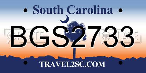BGS2733 South Carolina License Plate