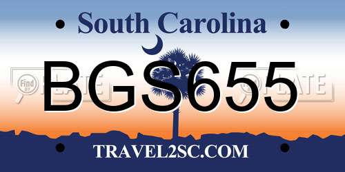BGS655 South Carolina License Plate