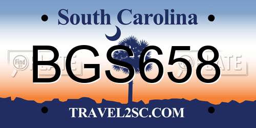 BGS658 South Carolina License Plate