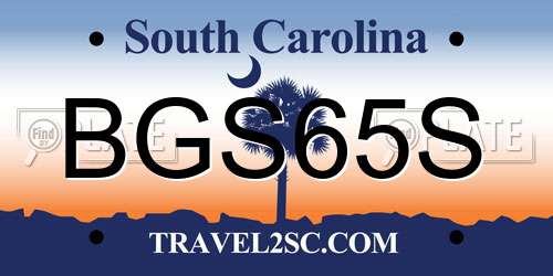BGS65S South Carolina License Plate