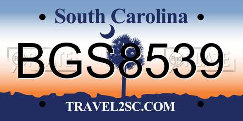 BGS8539 South Carolina License Plate