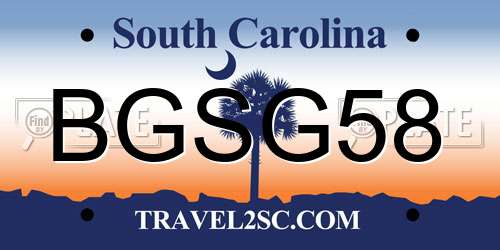 BGSG58 South Carolina License Plate