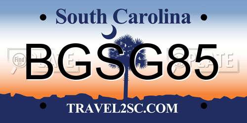 BGSG85 South Carolina License Plate