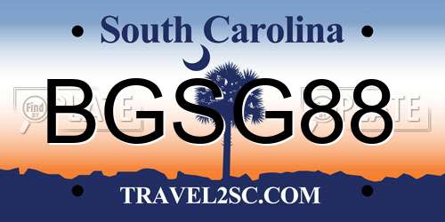 BGSG88 South Carolina License Plate
