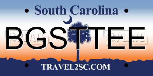 BGSTTEE South Carolina License Plate