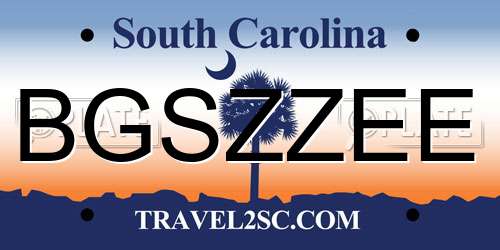 BGSZZEE South Carolina License Plate