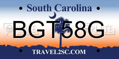 BGT58G South Carolina License Plate