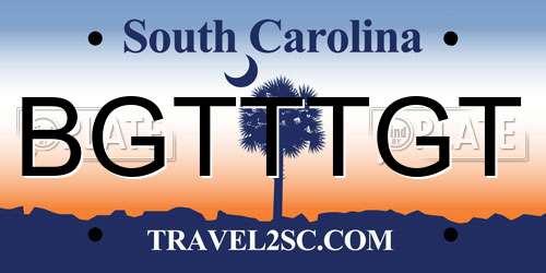BGTTTGT South Carolina License Plate