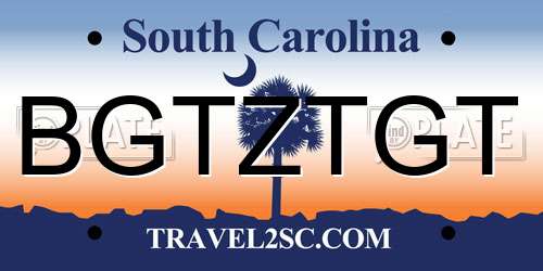 BGTZTGT South Carolina License Plate