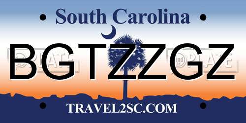 BGTZZGZ South Carolina License Plate