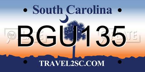 BGU135 South Carolina License Plate