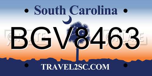 BGV8463 South Carolina License Plate