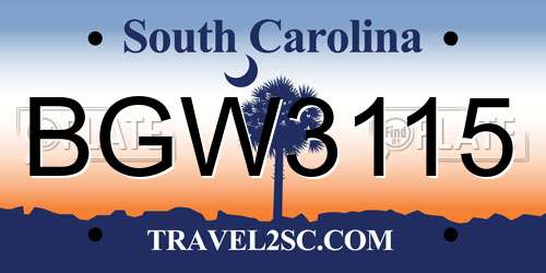 BGW3115 South Carolina License Plate