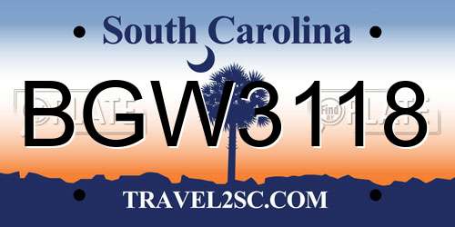 BGW3118 South Carolina License Plate