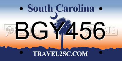 BGY456 South Carolina License Plate