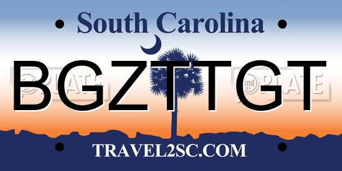 BGZTTGT South Carolina License Plate