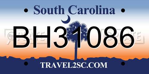 BH31086 South Carolina License Plate
