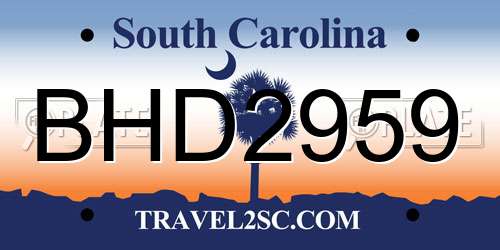 BHD2959 South Carolina License Plate