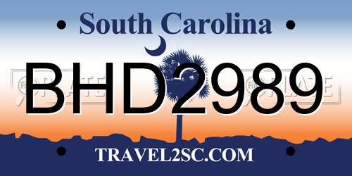 BHD2989 South Carolina License Plate