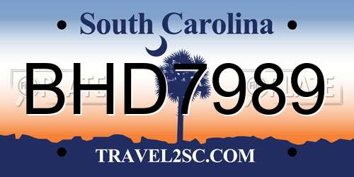 BHD7989 South Carolina License Plate