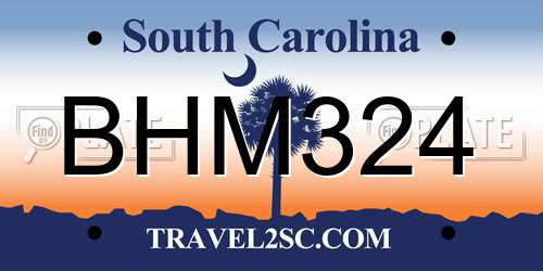 BHM324 South Carolina License Plate