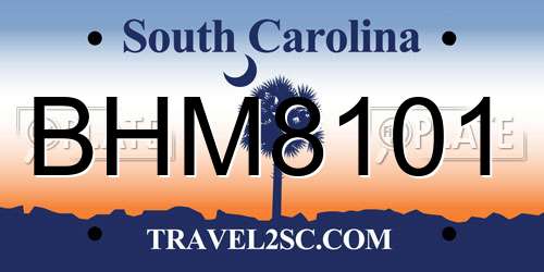 BHM8101 South Carolina License Plate