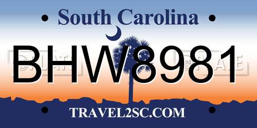 BHW8981 South Carolina License Plate