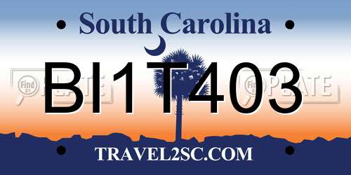 BI1T403 South Carolina License Plate