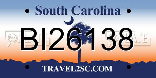 BI26138 South Carolina License Plate