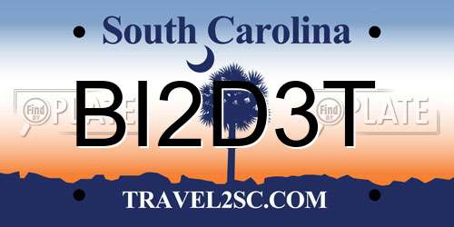 BI2D3T South Carolina License Plate