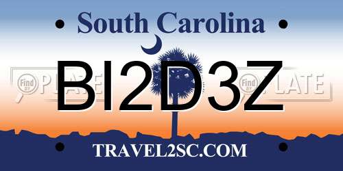 BI2D3Z South Carolina License Plate