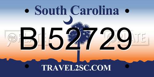 BI52729 South Carolina License Plate