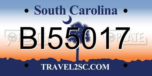 BI55017 South Carolina License Plate