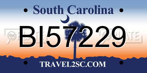 BI57229 South Carolina License Plate