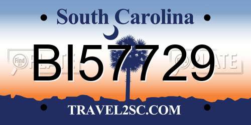 BI57729 South Carolina License Plate