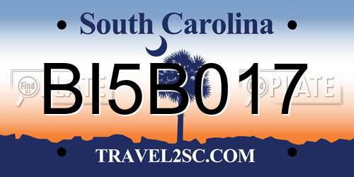 BI5B017 South Carolina License Plate