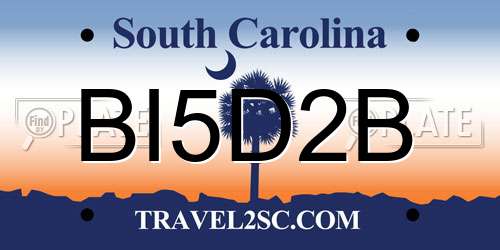 BI5D2B South Carolina License Plate