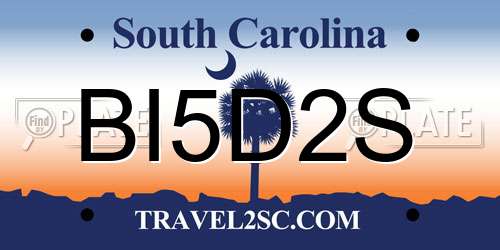 BI5D2S South Carolina License Plate