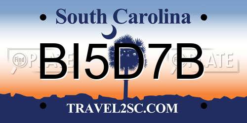 BI5D7B South Carolina License Plate
