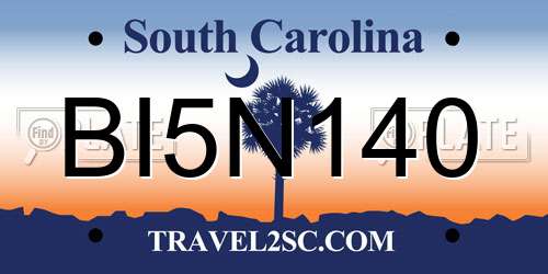 BI5N140 South Carolina License Plate